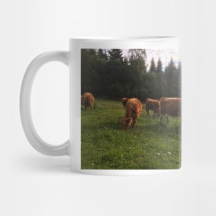 Scottish Highland Cattle Cows 2028 Mug